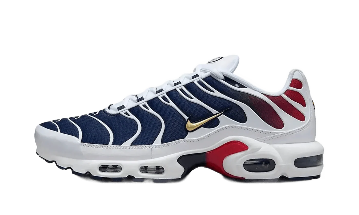 Nike Air Max Plus PSG
