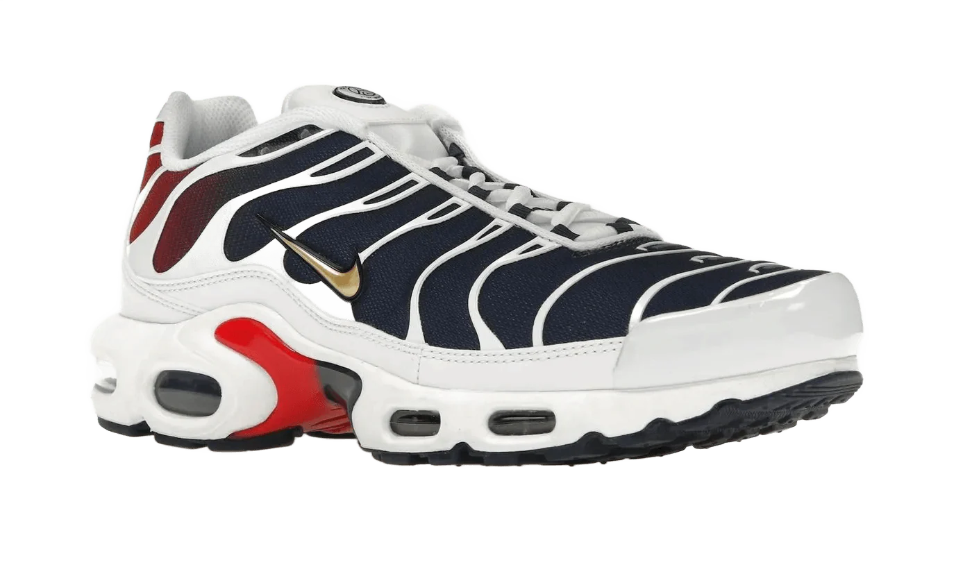 Nike Air Max Plus PSG - Image 4
