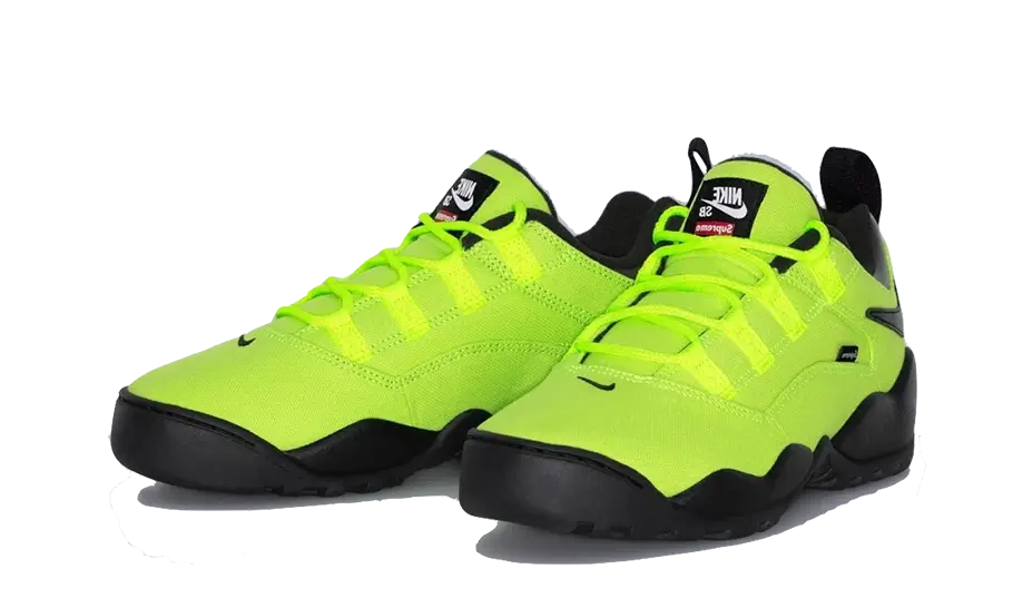 Supreme x Nike SB Darwin Low Volt - Image 2